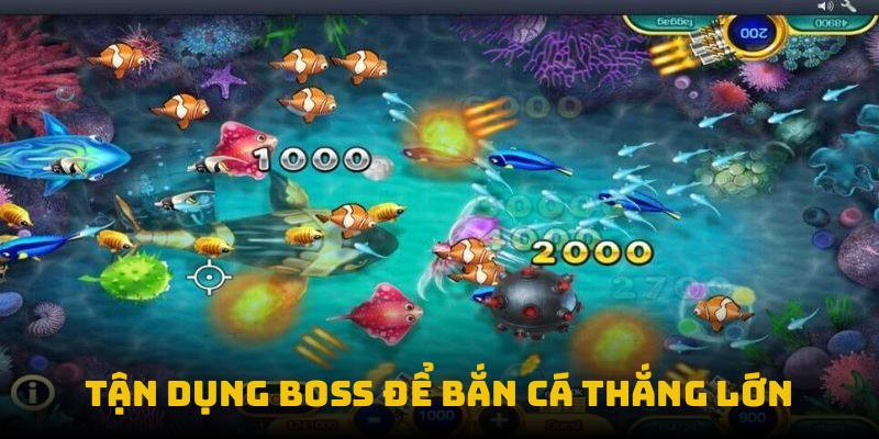 Tận dụng boss để bắn cá thắng lớn